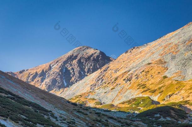 山风景在秋.