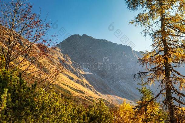 山风景在秋.