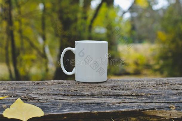 一空白的白色的咖啡豆马克杯采用指已提到的人森林向一树