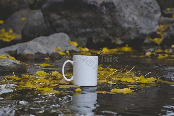 一空白的白色的咖啡豆马克杯采用指已提到的人小湾