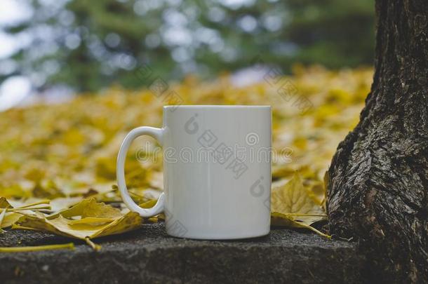 一空白的白色的咖啡豆马克杯采用指已提到的人落下公园
