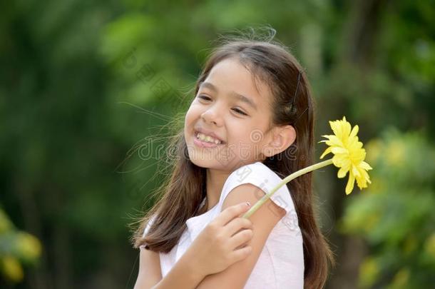 幸福的美丽的<strong>不</strong>同的女孩<strong>青春</strong>期前的和一雏菊