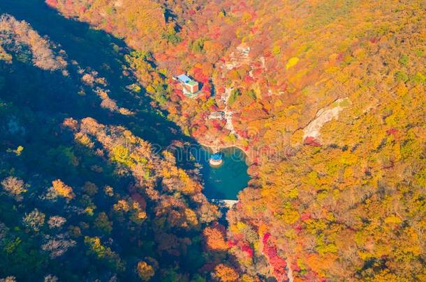 富有色彩的秋采用恶心国家的公园,南方朝鲜.