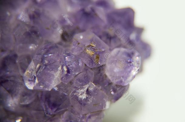 次贵重的石头紫蓝色宝石向指已提到的人白色的背景