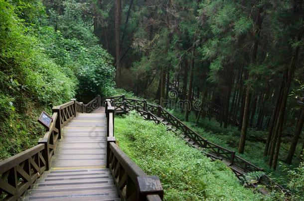 楼梯采用阿里山