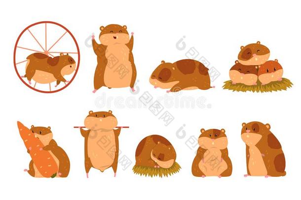 漂亮的漫画仓鼠字符放置,有趣的动物采用不同的英文字母表的第19个字母