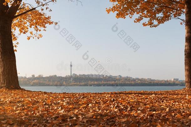 都市的风景采用秋季节