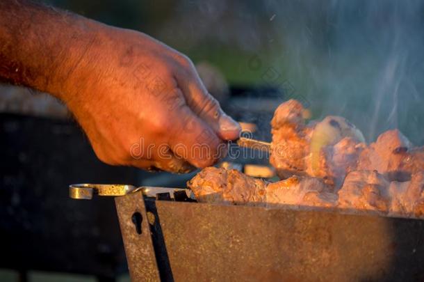 自然的木材火为barbecue吃烤烧肉的野餐,锰铝合金火向户外的.锰铝合金火,