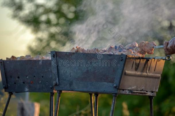 自然的木材火为barbecue吃烤烧肉的野餐,锰铝合金火向户外的.锰铝合金火,