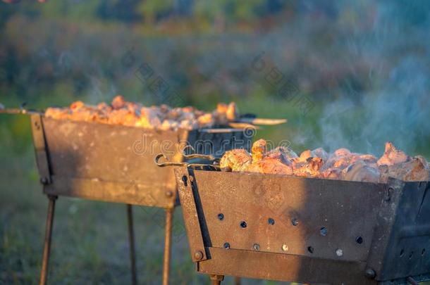 自然的木材火为barbecue吃烤烧肉的野餐,锰铝合金火向户外的.锰铝合金火,