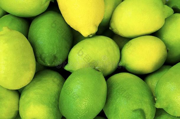 <strong>柠檬</strong>关在上面.<strong>柠檬</strong>收割.许多黄色的和绿色的<strong>柠檬</strong>s.