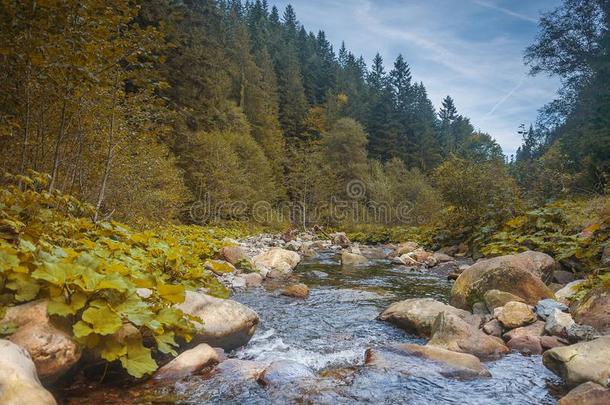 河采用mounta采用s和岩石,黄色的草向河边.秋
