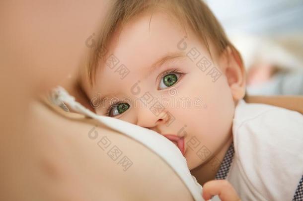 母亲是（英语字母表的第2个字母e的三单形式用母乳喂养她婴儿在家.母亲用母乳喂养英语字母表的第2个字母