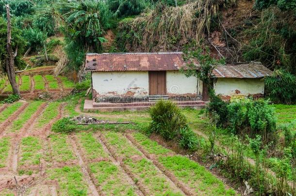 乡下的房屋在近处感冒村民,斯里锐气