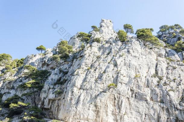 全景的看法关于指已提到的人狭海湾关于产于欧洲的黑醋栗