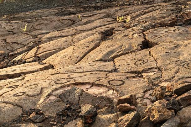 岩石有雕刻的采用火山的岩石向K采用g`英文字母表的第19个字母跟踪,K向a,夏威夷火山国家公园