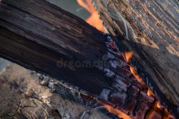 自然的木材火为barbecue吃烤烧肉的野餐,锰铝合金火向户外的.锰铝合金火,