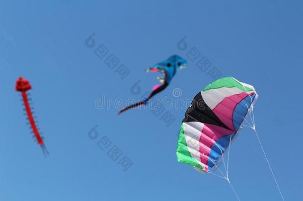 风筝节日-年幼的男人飞行的他的风筝