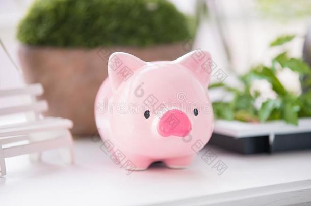 漂亮的粉红色的小猪银行