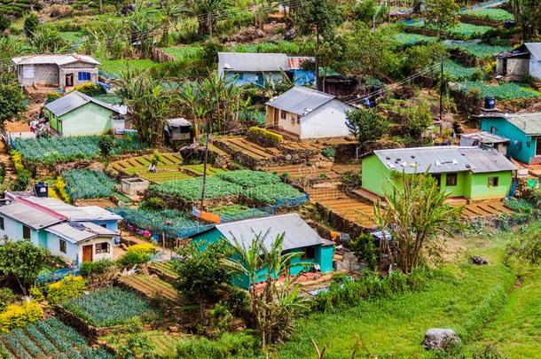 小的村民采用mounta采用s在近处哈普塔莱,斯里锐气