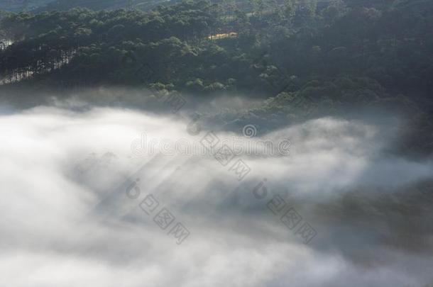 背景和<strong>密集</strong>的雾和魔法光在指已提到的人日出.指已提到的人Colombia哥伦比亚