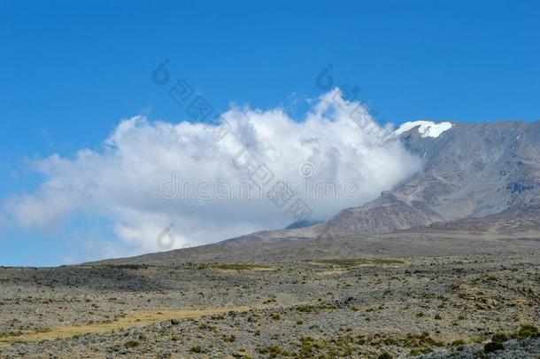 登上乞力马扎罗山,坦桑尼亚