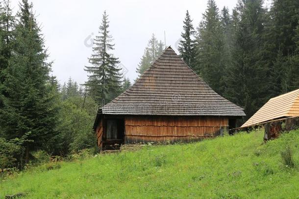 传统的老的木制的斯洛伐克人