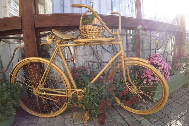 美丽的自行车为内部装饰
