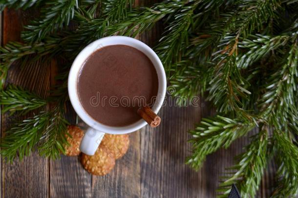 热的巧克力或可可和樟属植物粘贴采用一杯子一nd冷杉br一n