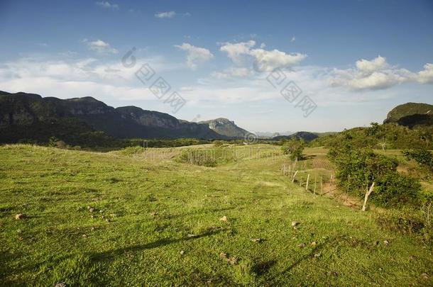 古巴农田烟草地区<strong>热</strong>带的和煦的：照到阳光的终<strong>曲</strong>山谷