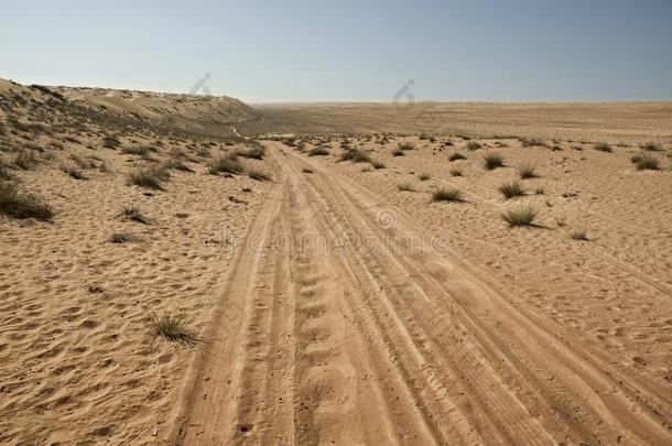 轮胎/使疲惫小路通过指已提到的人沙漠沙沙丘