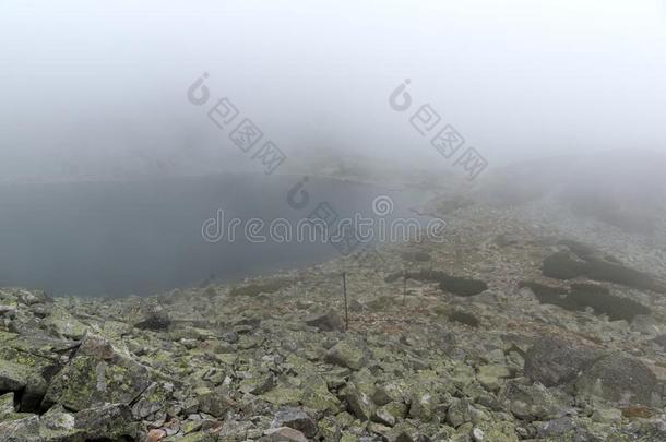 风景和雾越过穆萨伦斯基湖,里拉山,宝格丽