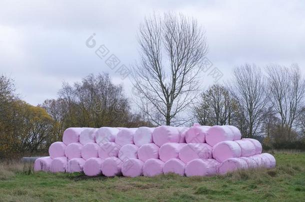 粉红色的塑料制品袋关于干草农作物包包金箔的和有包装的在旁边农场主