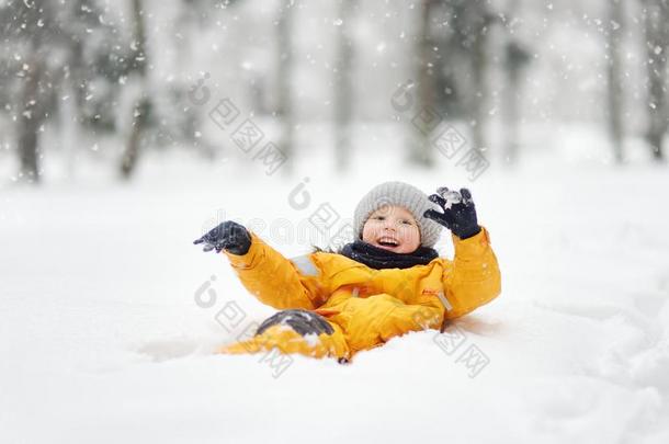 小的男孩所有乐趣采用指已提到的人雪