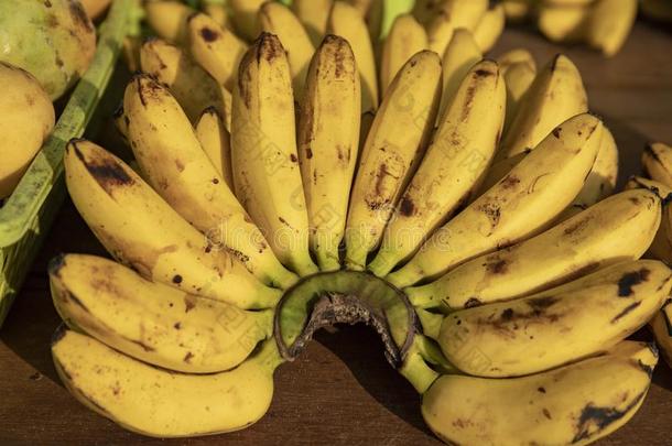 黄色的香蕉树枝特写镜头照片.乡村的新鲜的香蕉桩向