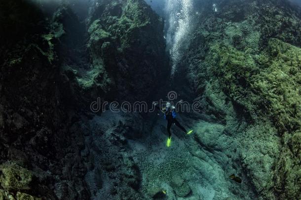 水肺潜水员在水中的采用指已提到的人深的布莱洋深渊