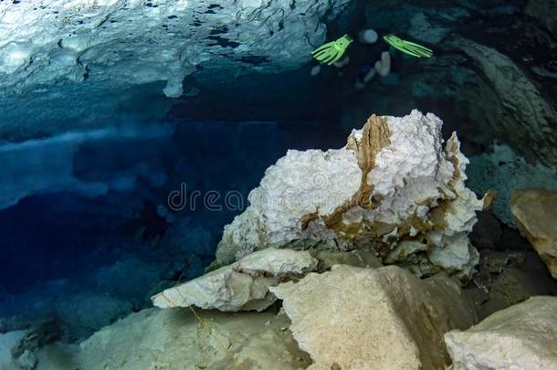 盐跃层影响在期间跳水采用塞诺特洞穴采用墨西哥