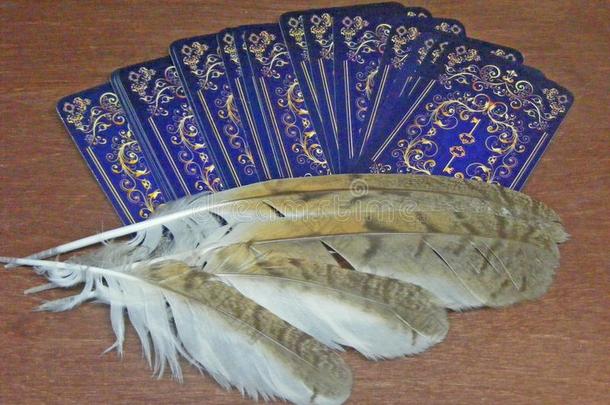 背关于占卜用的纸牌卡和魔法羽毛关于野生的森林猫头鹰