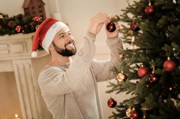 快乐的积极的男人装饰圣诞节树