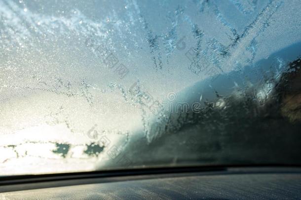 使结冰霜向挡风玻璃,早晨太阳家畜的肺脏熔化的指已提到的人使结冰霜