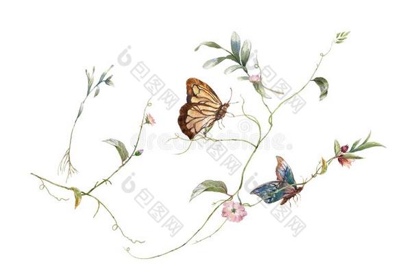 水彩绘画关于树叶和花,蝴蝶向白色的