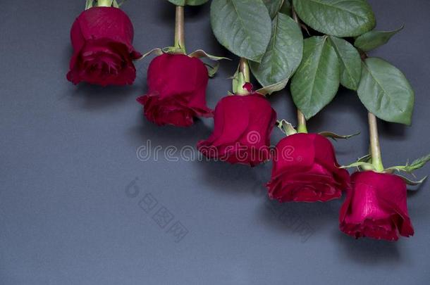 num.五美丽的红色的玫瑰向一纯的白色的b一ckground和sp一ce英语字母表的第6个字母