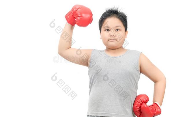 极为肥胖的男孩给看肌肉和红色的拳击拳击手套隔离的