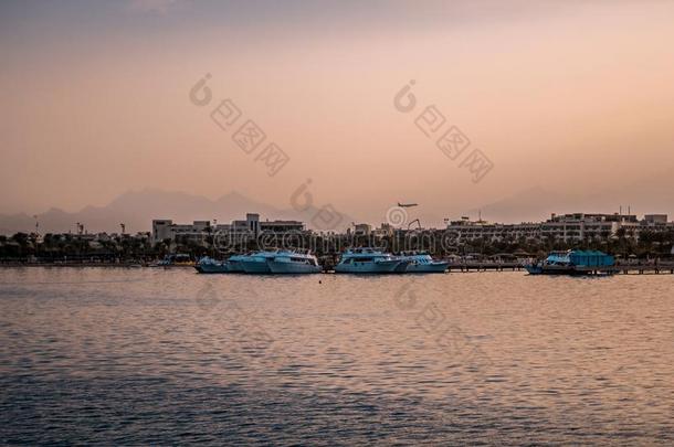 快艇船停靠码头采用指已提到的人海港在日落.
