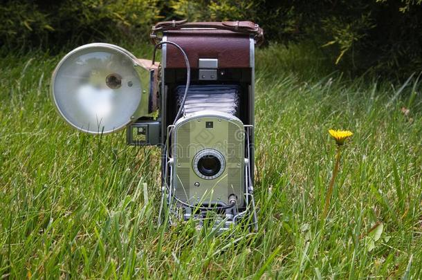 老的酿酒的照片照相机向绿色的草.