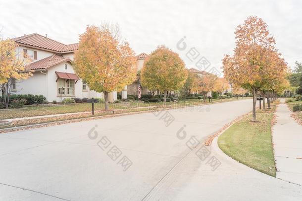 令人晕倒的黄色的落下植物的叶子颜色在新的住宅的邻居家