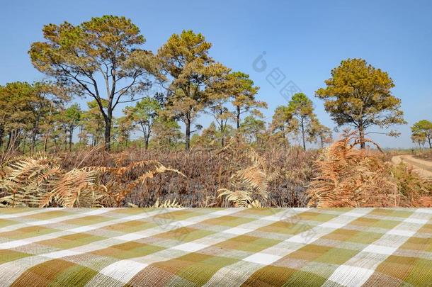 户外的野餐郊游背景和野餐郊游表.