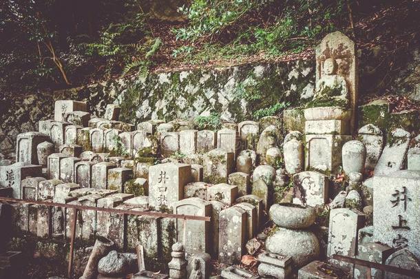 香椿-采用庙花园墓地,京都,黑色亮漆