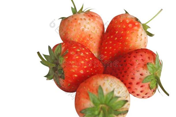 精神饱满红色的草莓隔离的向白色的背景