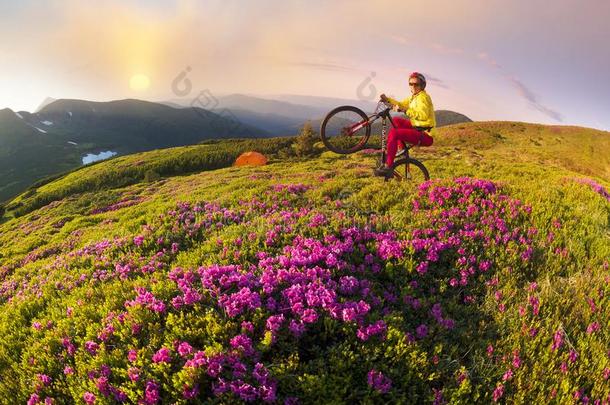 春季旅游采用指已提到的人喀尔巴阡山脉经过一lp采用e花和一陡峭的